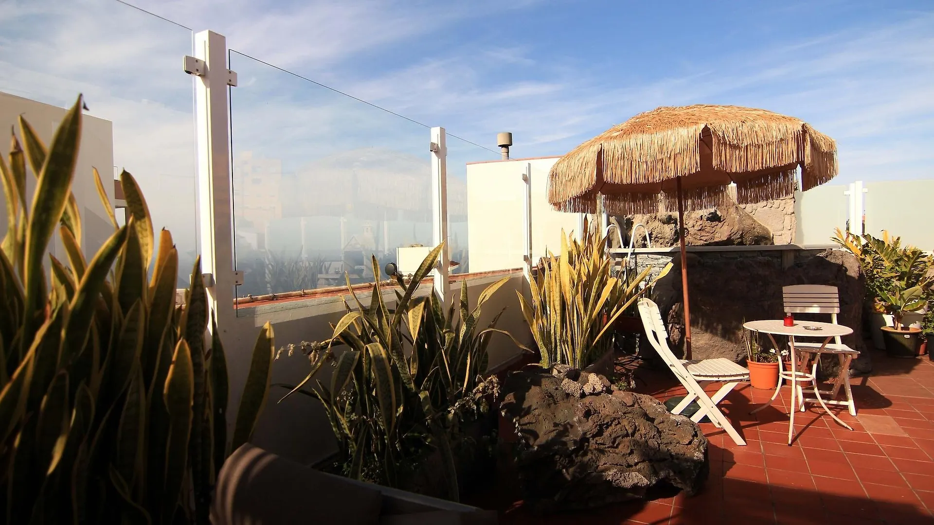 Drago Hostel Icod De Los Vinos Spain