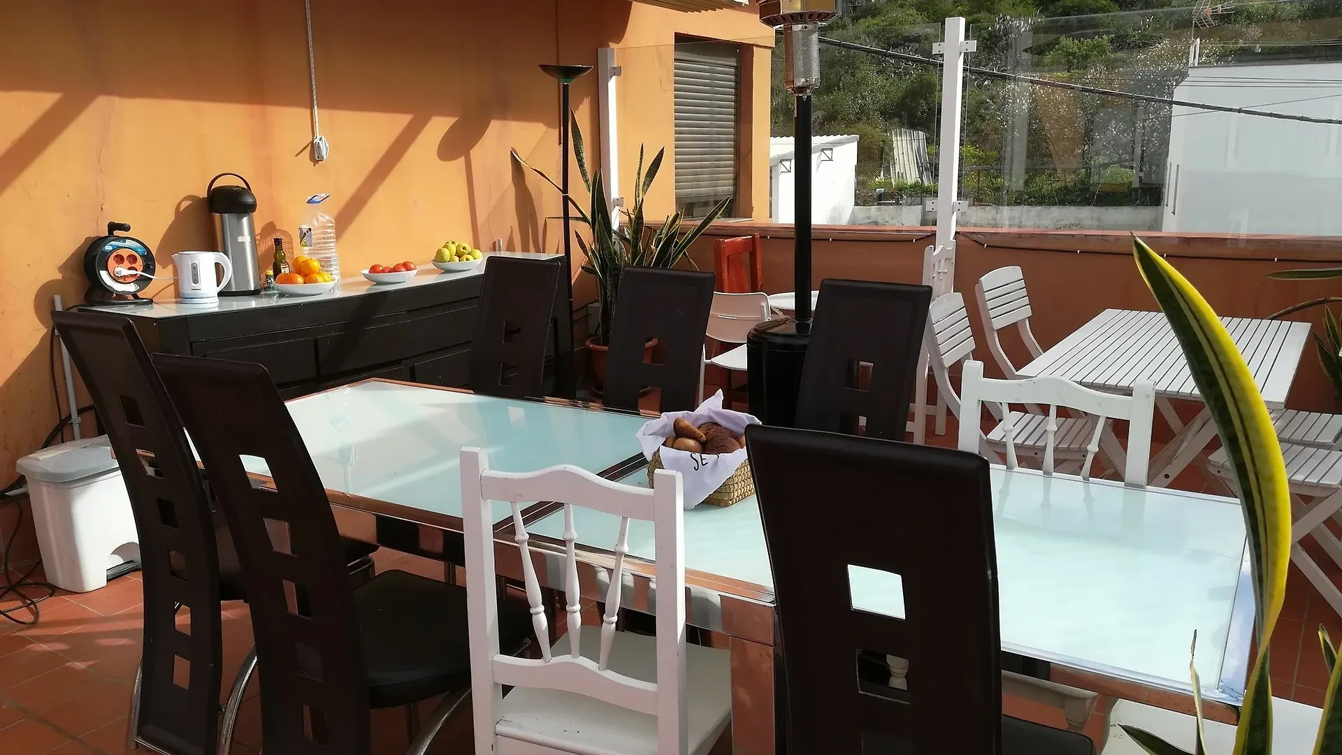 Drago Hostel Icod De Los Vinos Spain