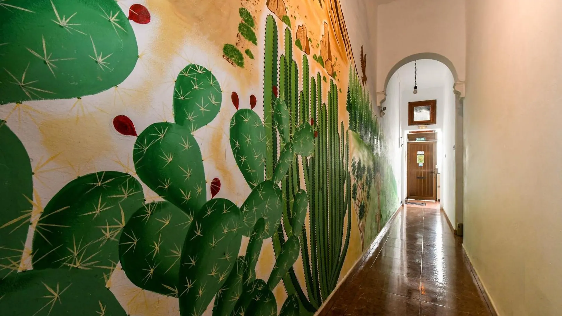 Drago Hostel Icod De Los Vinos Spagna