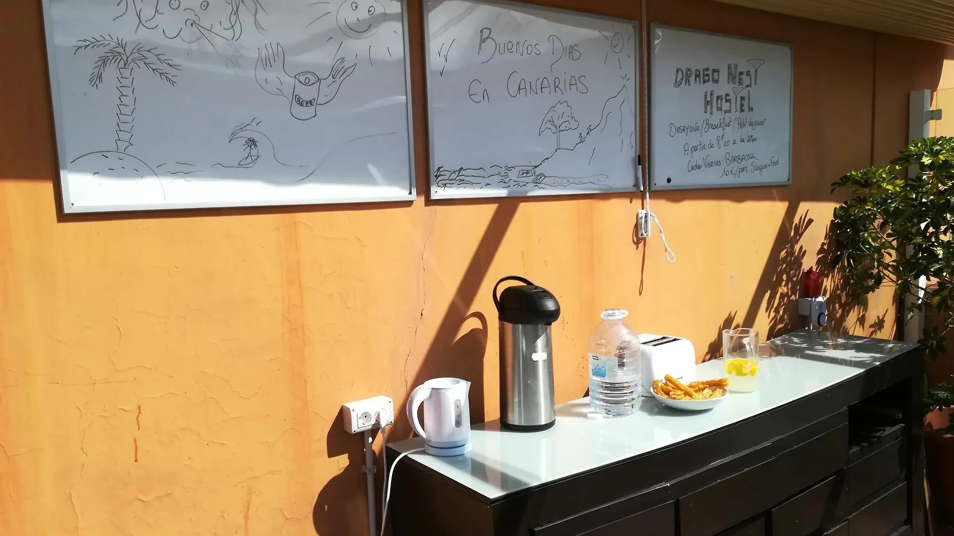 Drago Hostel Icod De Los Vinos Spagna